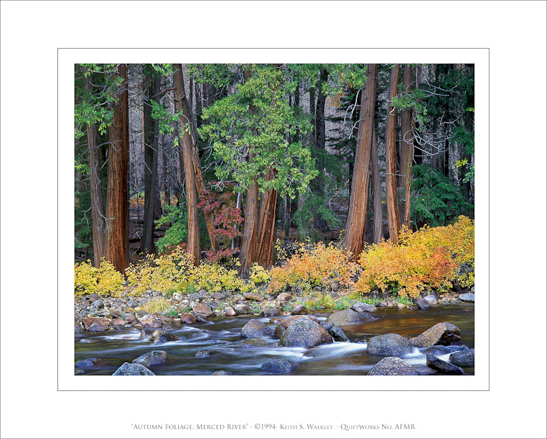 Autumn Foliage, Merced River, 1994
