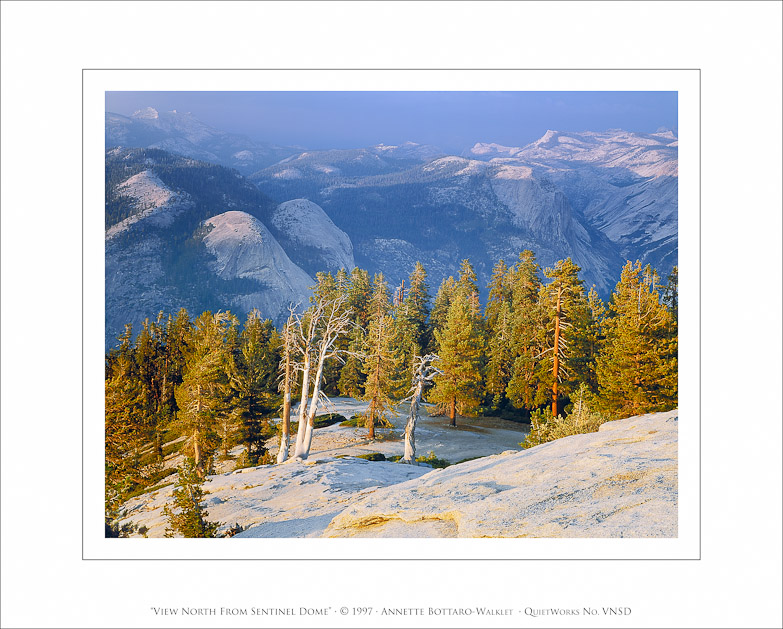View North From Sentinel Dome, 1997