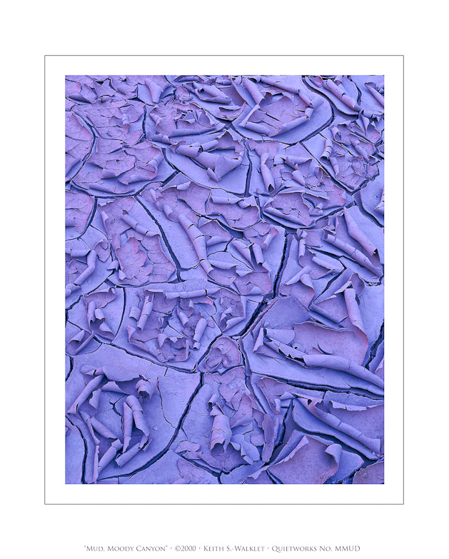 Mud, Moody Canyon, 2000