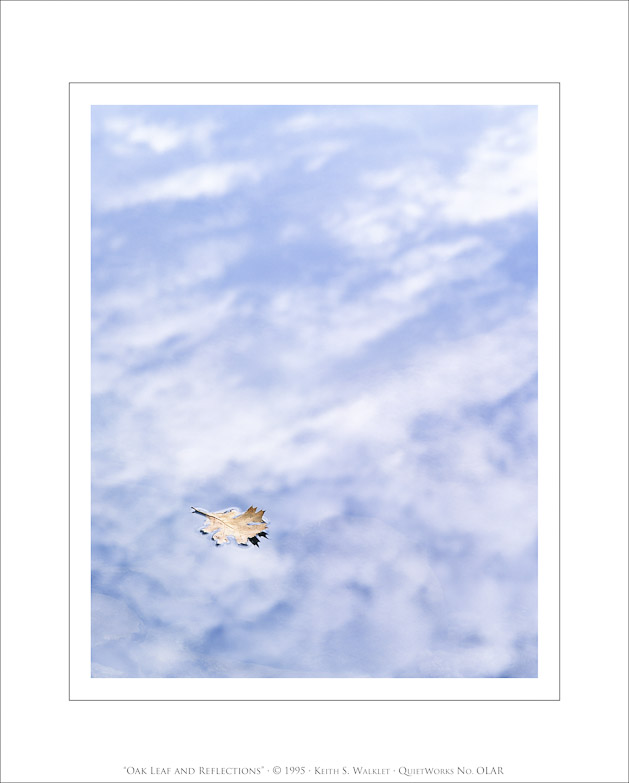 Oak Leaf and Reflections, 1995