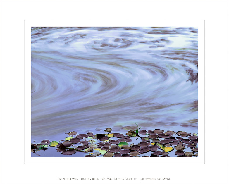 Aspen Leaves, Lundy Creek, 1996