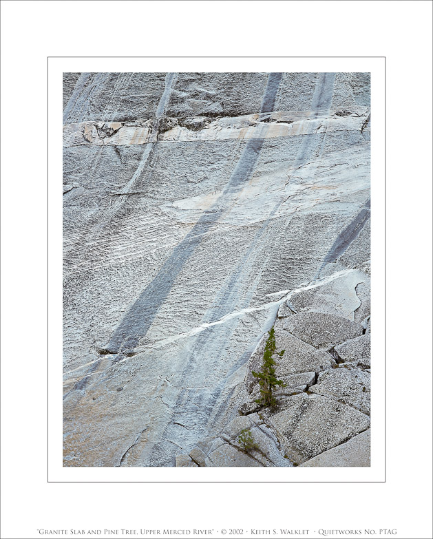 Granite Slab and Pine Tree, Upper Merced River, 2002
