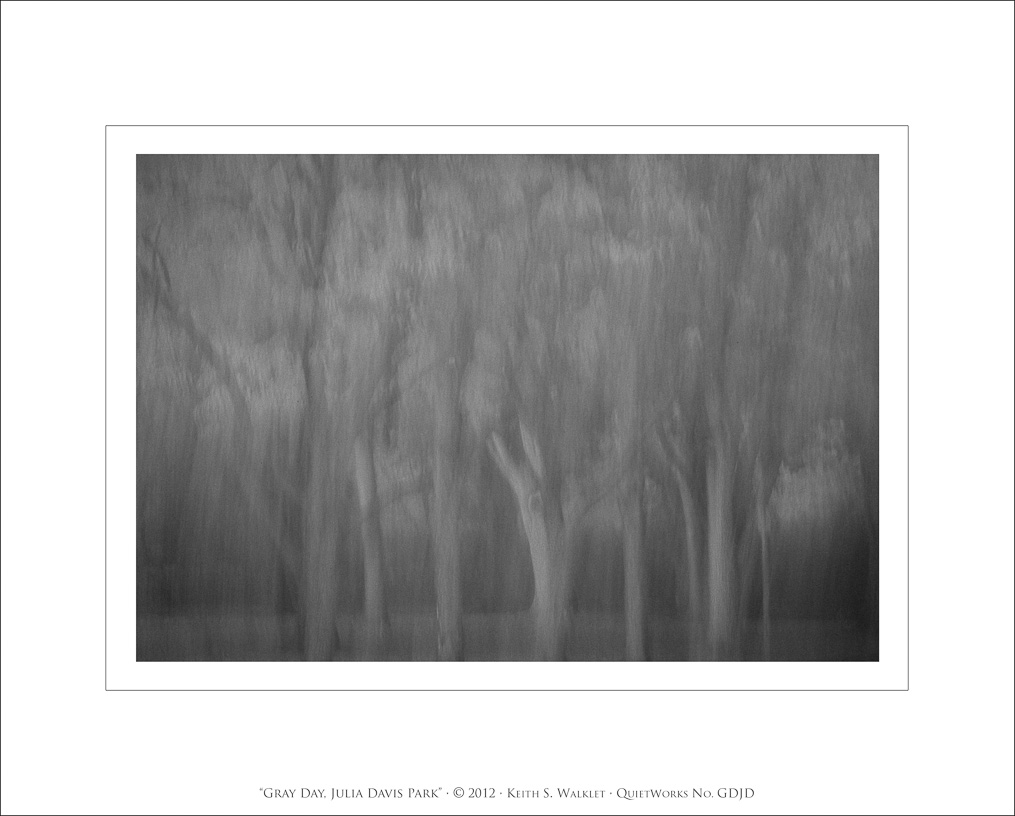 Gray Day, Julia Davis Park, 2012