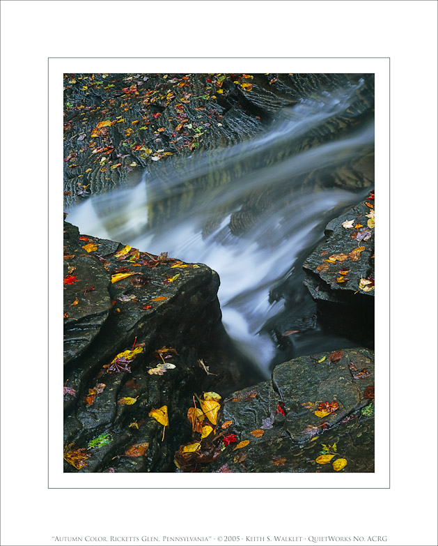 Autumn Cascade, Ricketts Glen, Pennsylvania, 2005