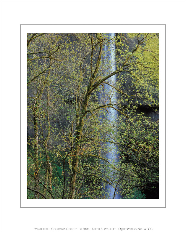 Waterfall, Columbia Gorge, 2006