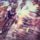 ITMX_1212_SHUPiphoto_6x6