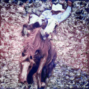 RECB_1212_SHUPiphoto_6x6